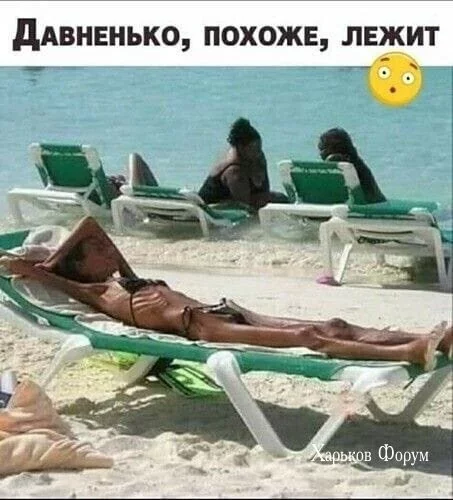 2cad5ab4571f8810d65.webp