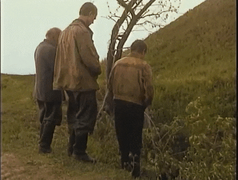 2cafdd.gif