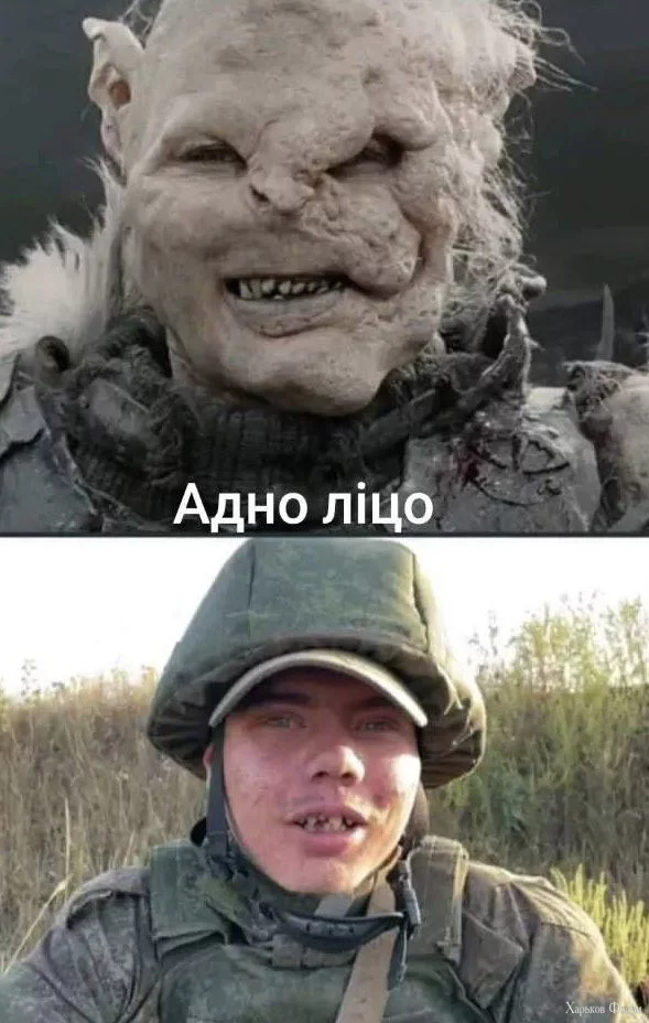 2CamOpWkxkgnyomJxrnnOD6WTSRQqciXp1.webp