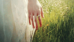 2cc073f826d398f771e8a01b.gif
