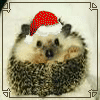 2ccc9b5ab97ce30972841467c71e4fd8.gif