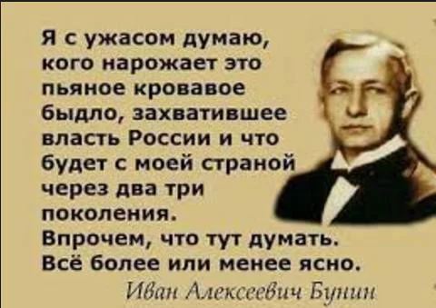 2cdcdg.webp