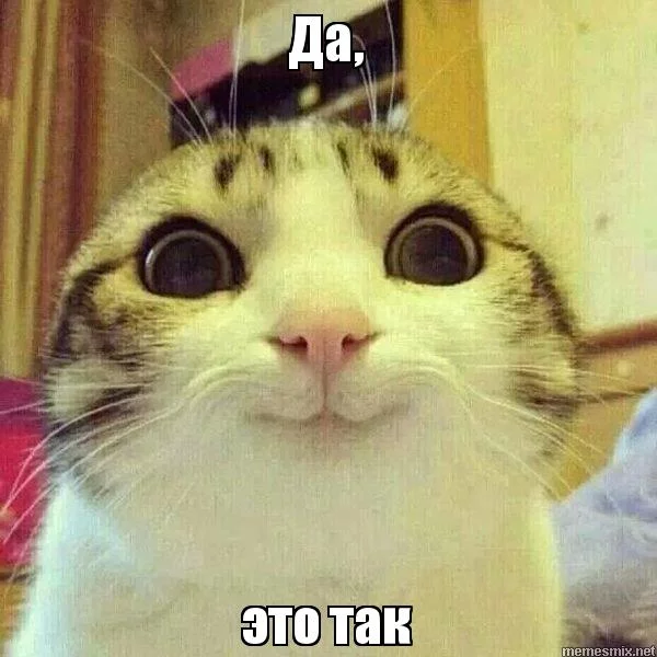2cdheh.webp