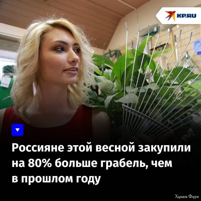 2CDP3pqn4zVP5C0IzUAFM0JEuTeVNAYhy2.jpg