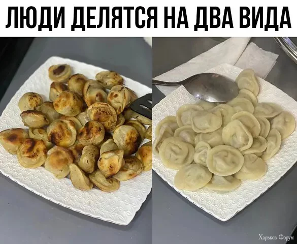 2Cewo3ELw8UgubISzEiiHNQAK3L9w338eH.webp