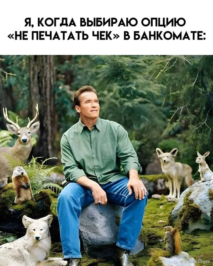 чек