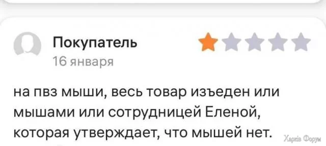 Мышь Елена