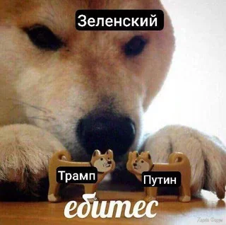 переговоры