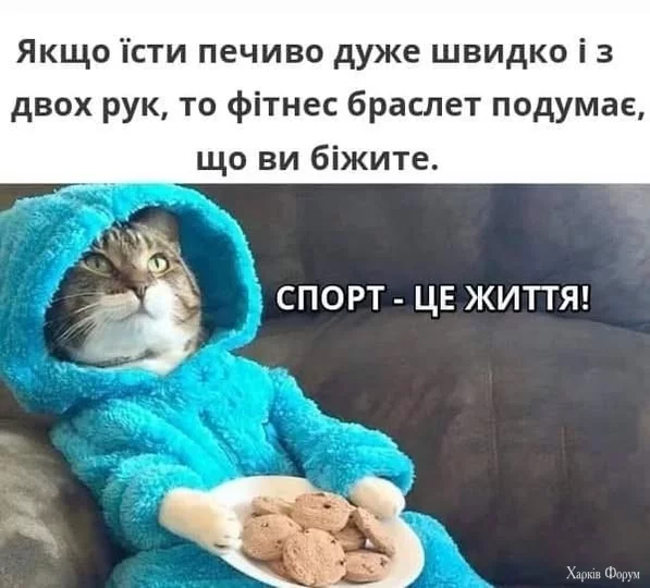 фітнес