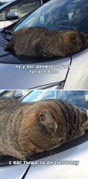 2chdjh.webp