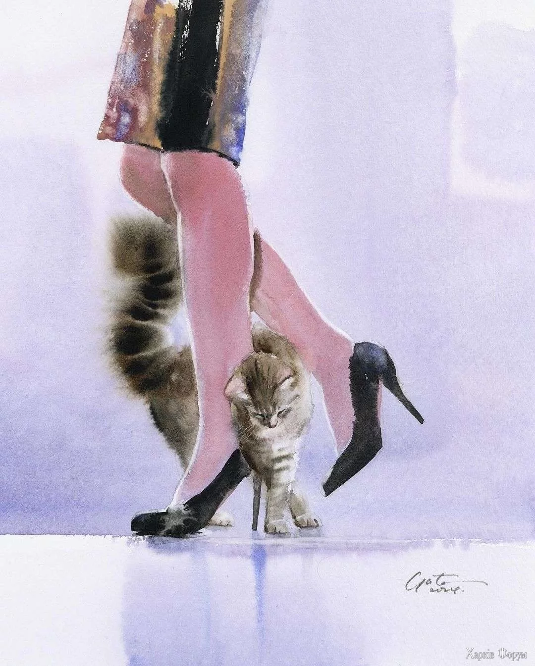 cat