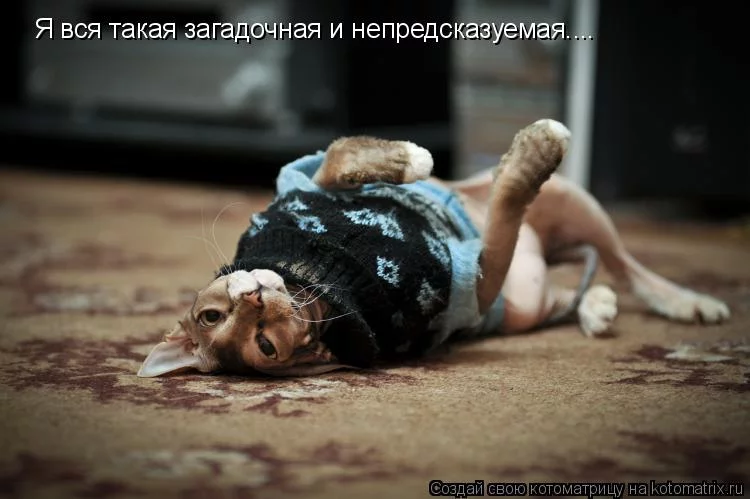 2cjfgg.webp