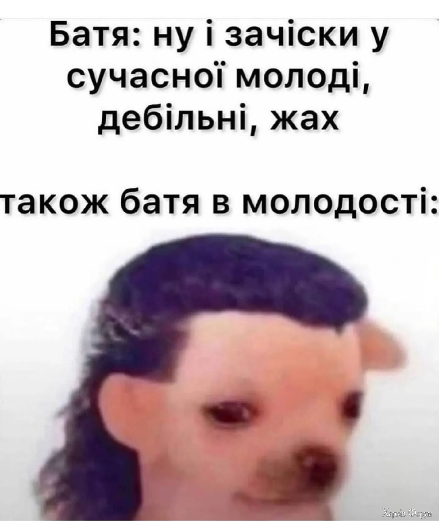 2CknH42PRU7gsqNkQp0U0SySn6dzbcivDH.webp
