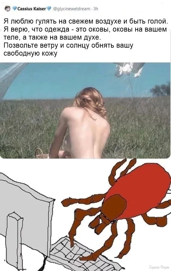 2CkO4j7xy7jJ7TX3vjIaGGrJHmWSGiTEsD.webp
