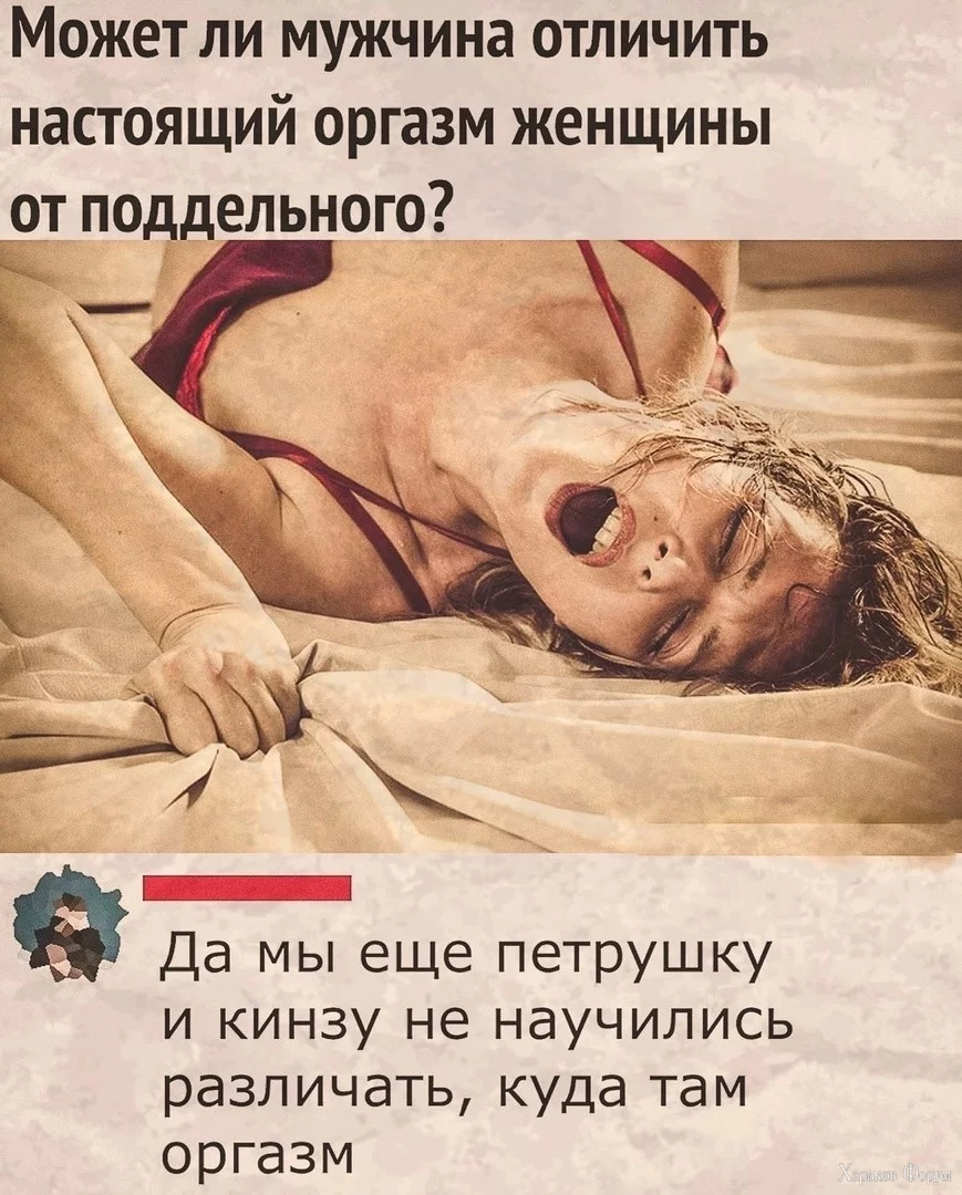 2CLa3d9pDfKqUql3aq8hEHC5ZjvcSjlxOK.webp