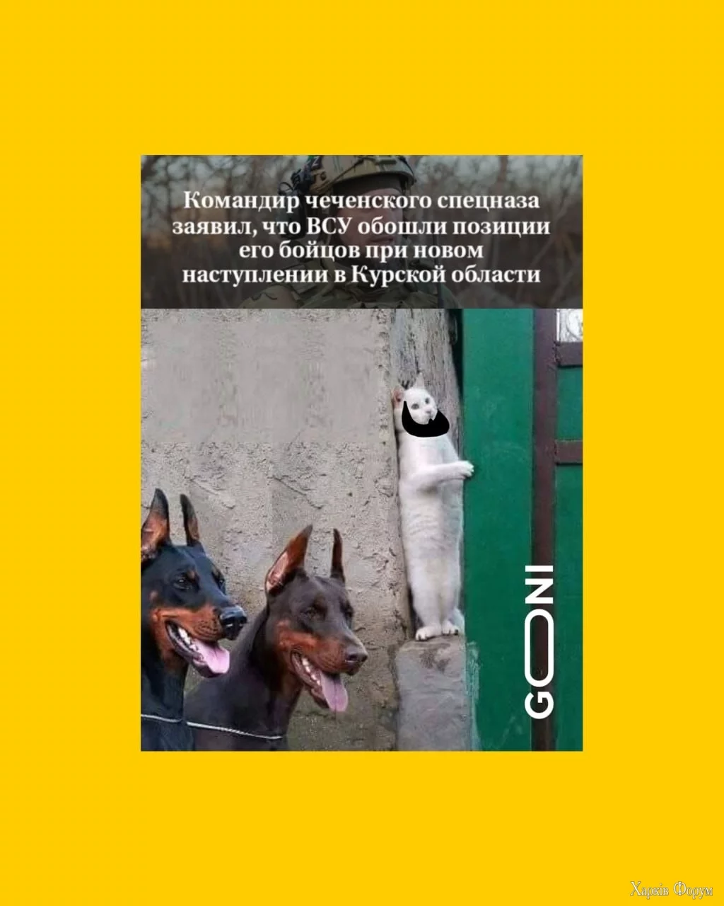 2CLAgBkoDBwoMGeC95Lrz48nR8wMc39Fu4.jpg