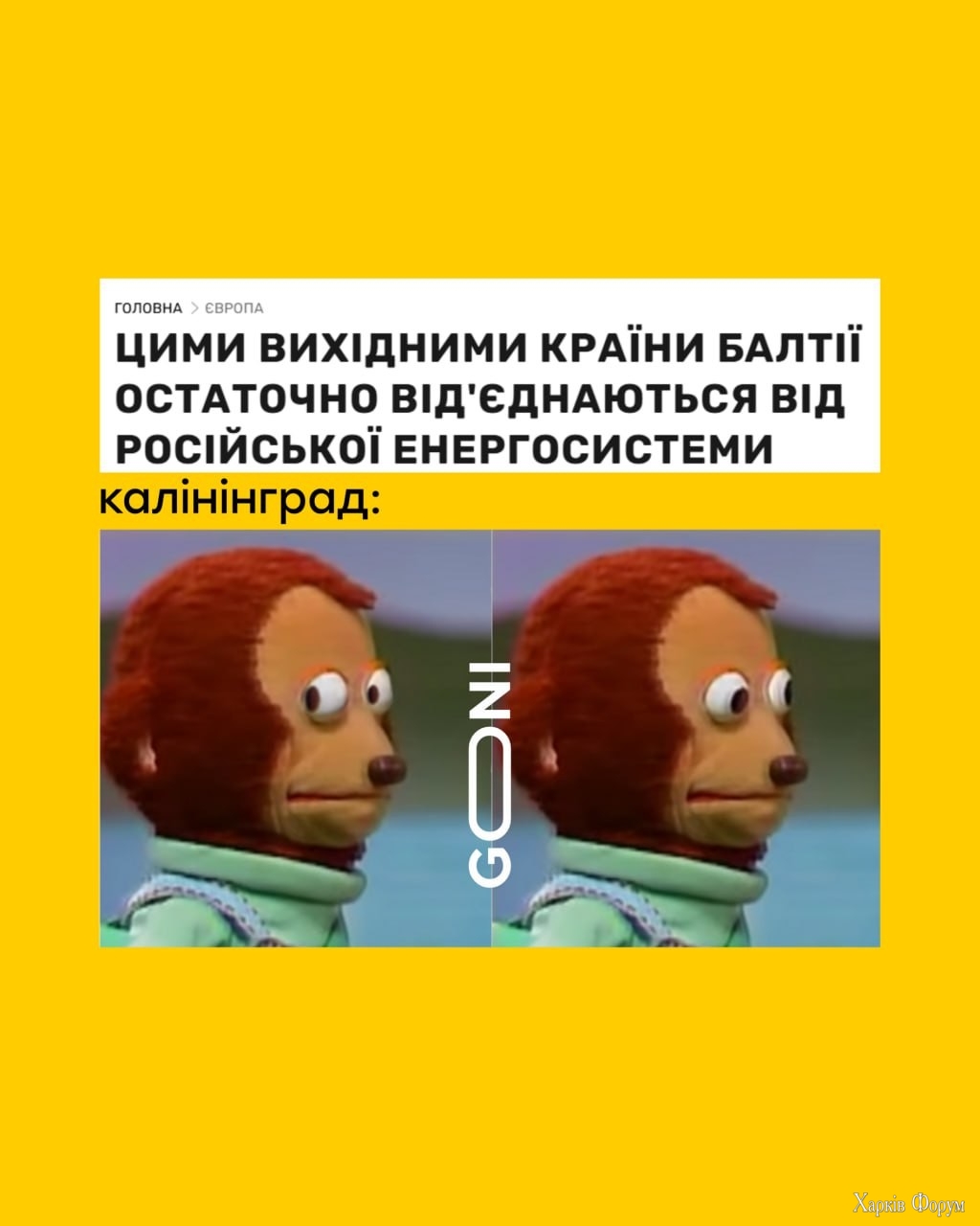 2CLoS7NtoxzMVqUgZNOubQfKCDrQkmlDHW.jpg