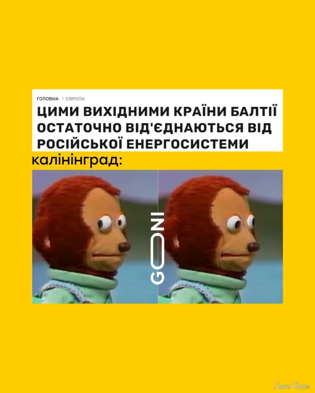 2CLoS7NtoxzMVqUgZNOubQfKCDrQkmlDHW.jpg