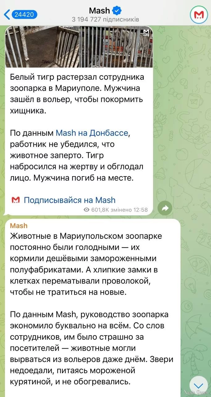 тигр