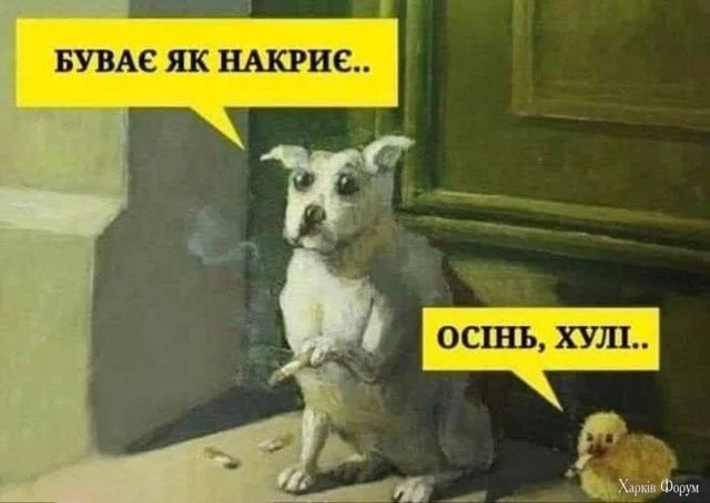 2CM59RSFqq8kbMJuntbSZ5BN8iUeMFMVA1.webp
