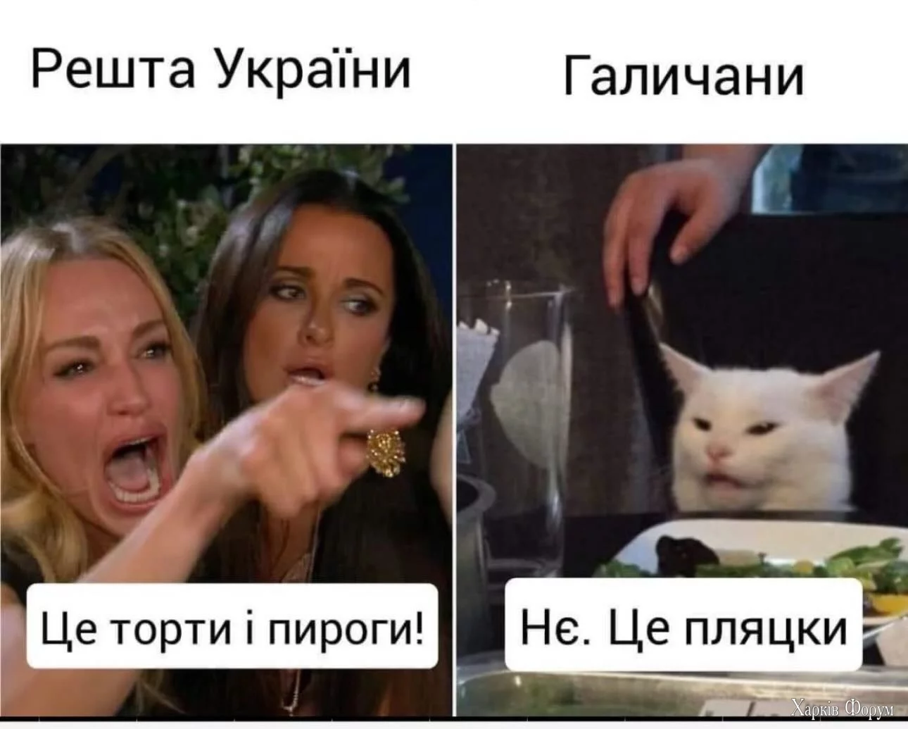 торти