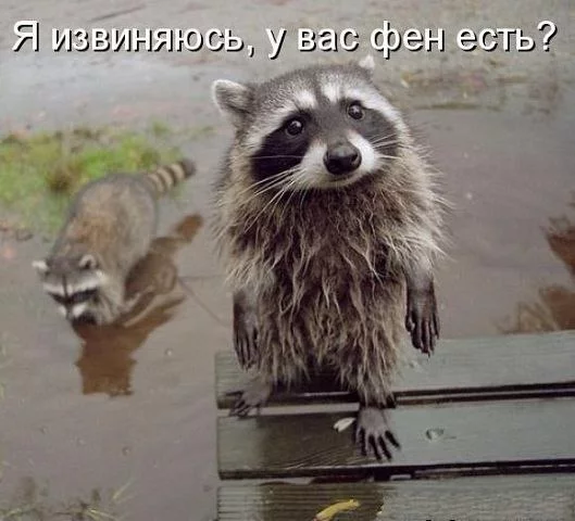 2CoW5_oNfV4.webp