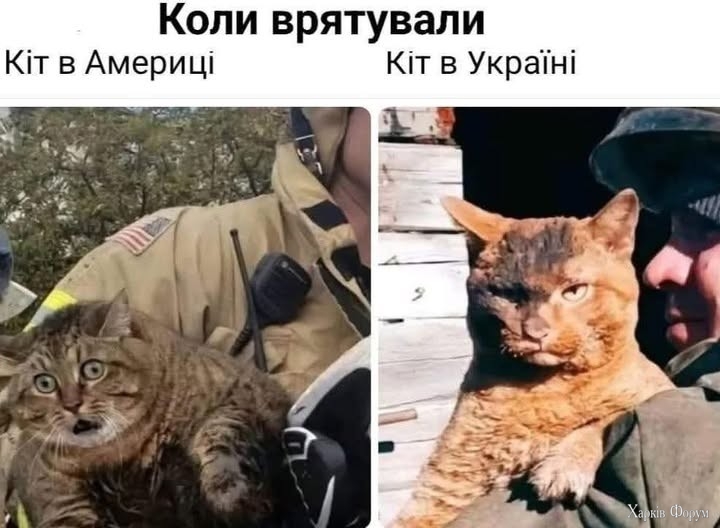 Kit