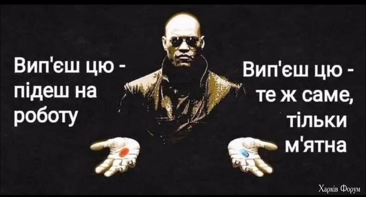 2CQi1M5MLPtBIklWae2p9jAgZZqnlGqWve.webp