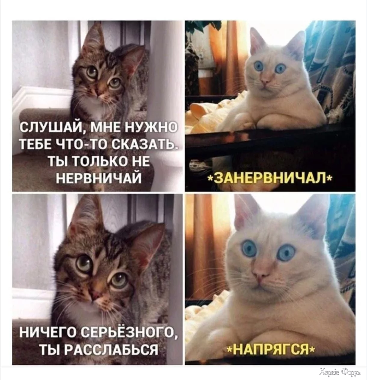 напряг