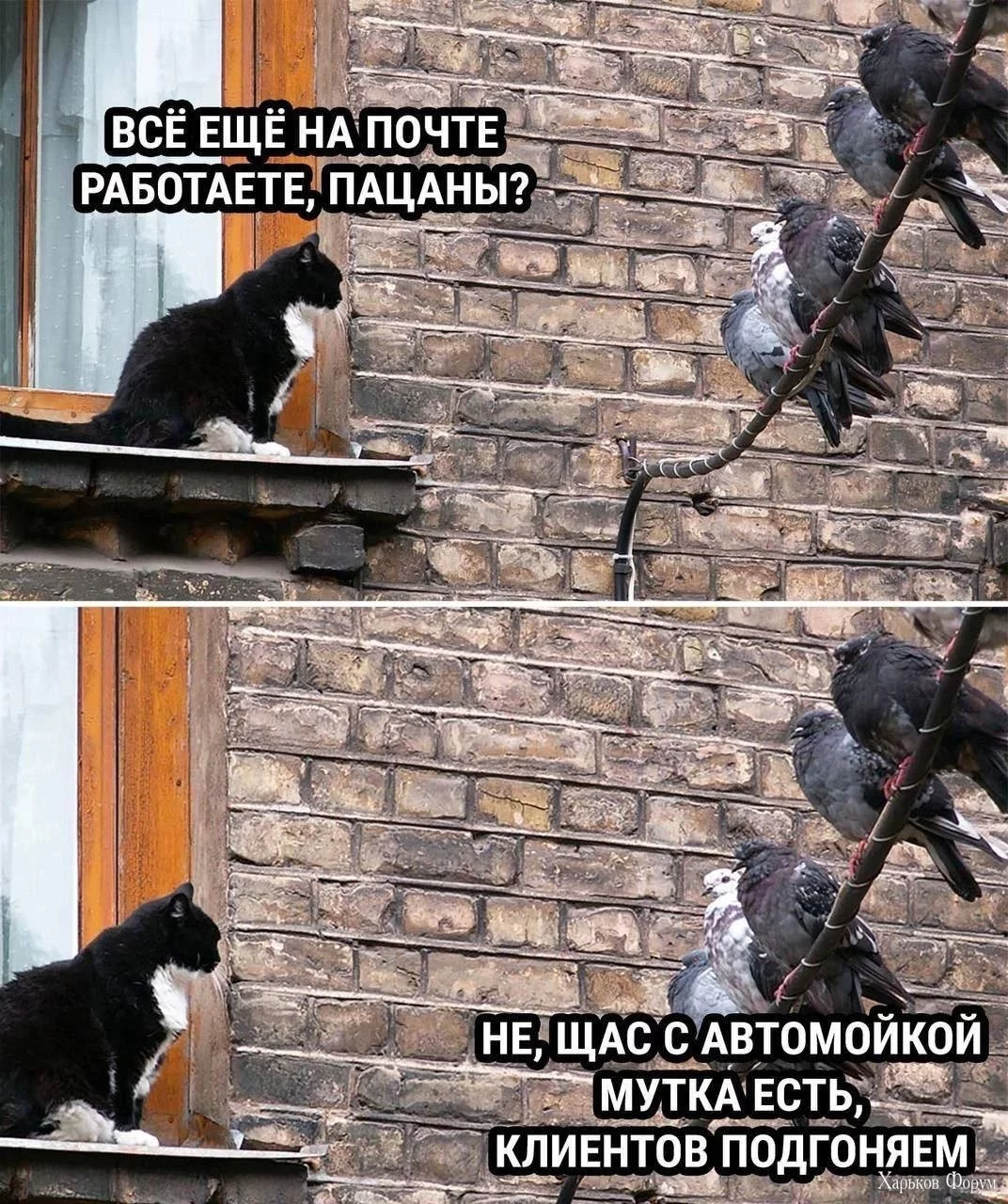 2CRAnxxmkWOqFp4PA0bidnXEWL3XDTYhqW.webp