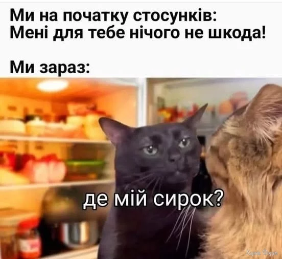 сирок