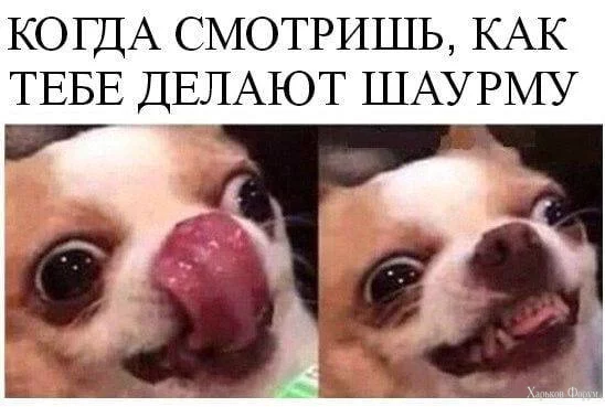 2CsbmzOfkPV5F9LpNhYZWRvk7dSEkWSfoG.webp