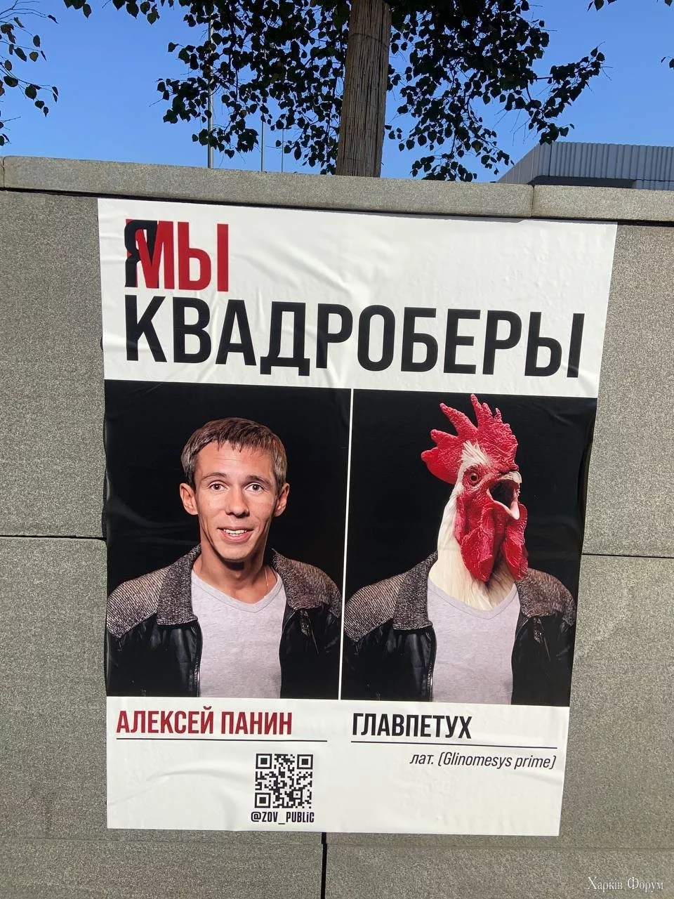 Кадроберы Дудь Яшин Певчих Волков