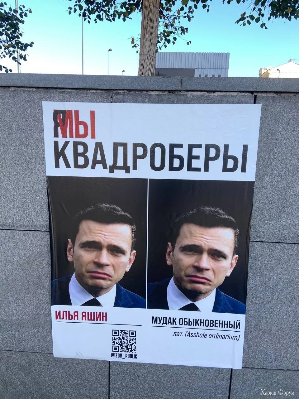 Кадроберы Дудь Яшин Певчих Волков