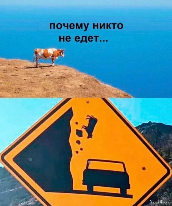 2CUX8JPXtrUb0eZt0im1f7ey8rzgvaJlSR.jpg