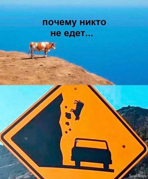 2CUX8JPXtrUb0eZt0im1f7ey8rzgvaJlSR.webp