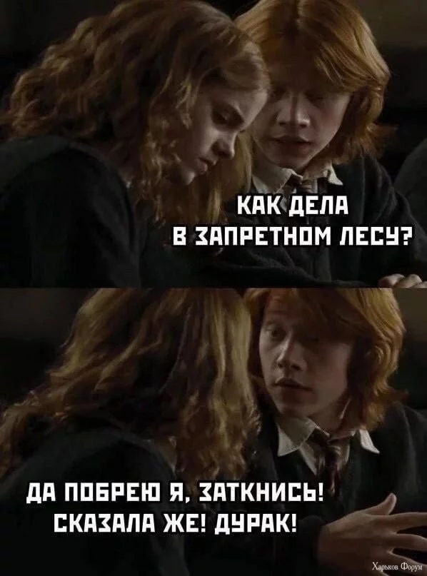 2Cvau0NlY9D40dzt12O1YlK4flhywNZweX.webp