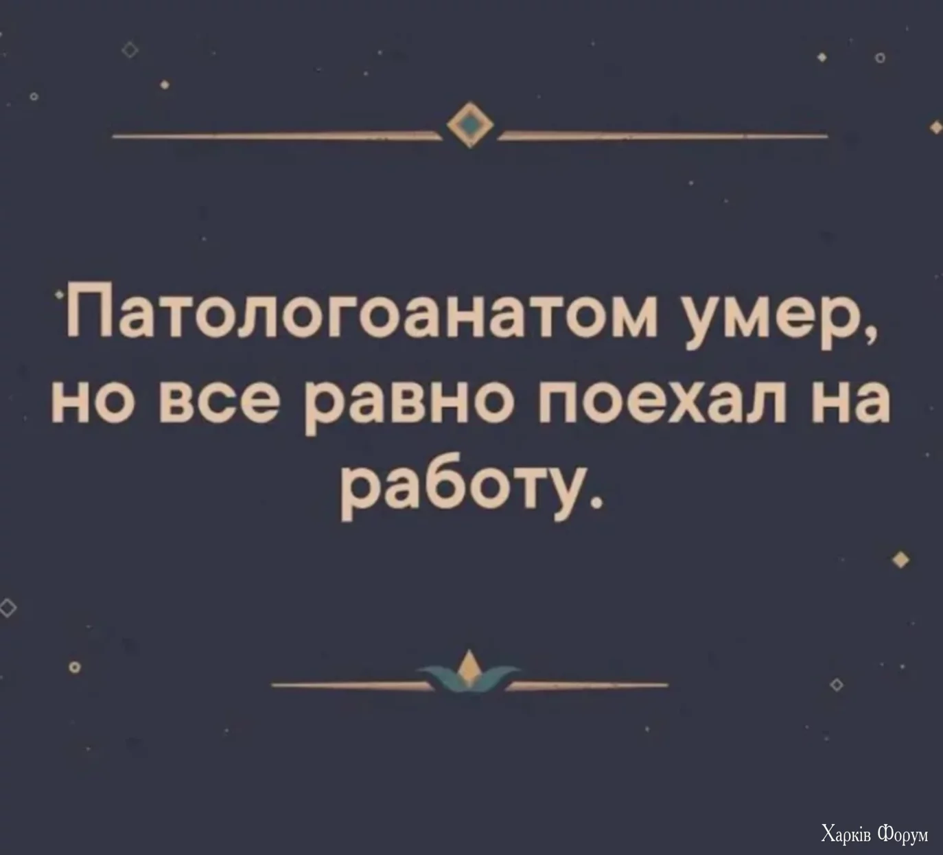 2CwtPRPta9B47L95LNlM7MXoHQbfv9lcjI.webp