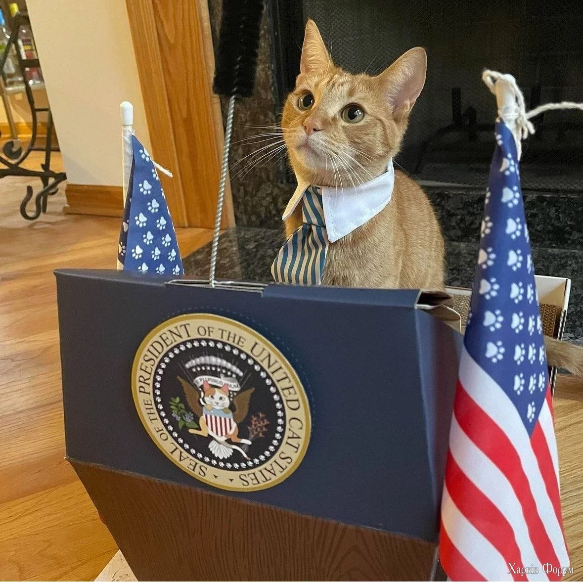 президент