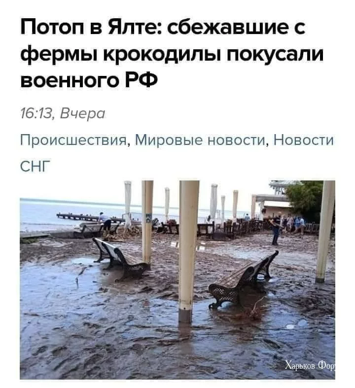 2d0d69c65ed5b5aa.webp