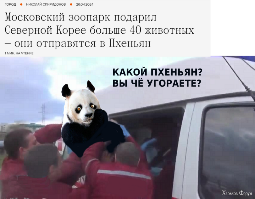 2d0qe8hv94c88pomadt9jheffajqam58cg-png.14688887