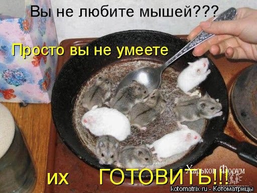 2d12530ca87dc3aefd092b59.jpg