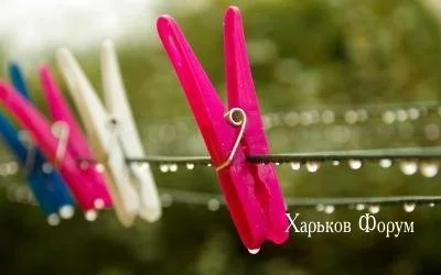 2d13afe38c92644c54179.webp