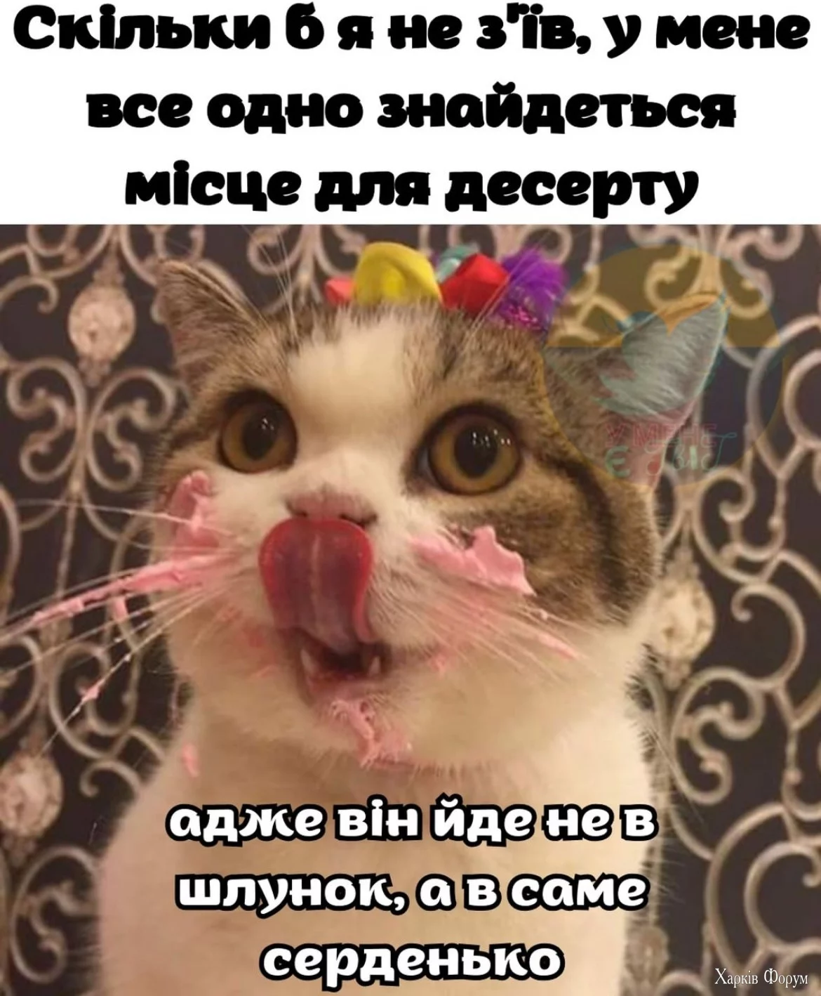 2D2nYX1lhG1GnIyErAPDrhARBYFb7YszxT.webp