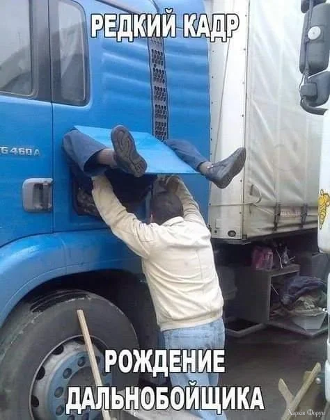 роды