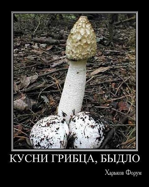 2d532b59a3cddd28b99da8e0.jpg