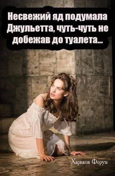 2d5c6f7314a2739381f96.webp