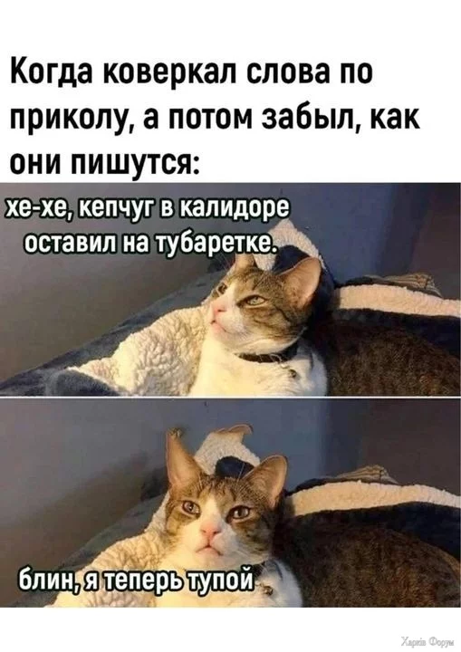 2D5OoHPmC7S11tE3u71hJ8CkkR6R5xKVtJ.webp