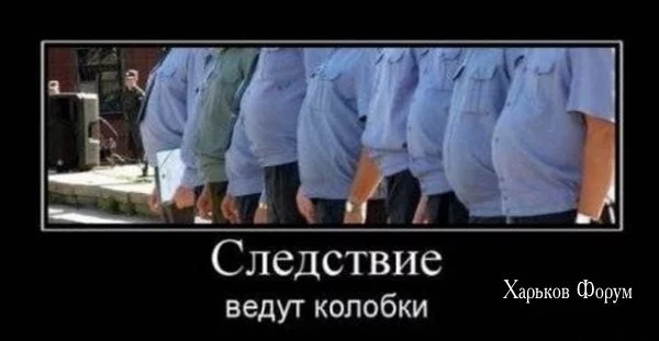 2d6bbe0db228c7a2ad.webp