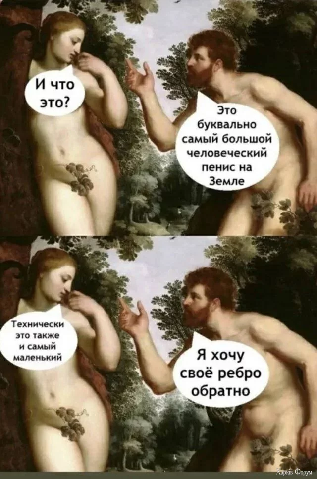 2D6ecUaaIx5MBlomYnrYTseM8Yy3IHwSDs.webp